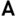 Acne官网