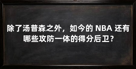 除了汤普森之外,如今的 NBA 还有哪些攻防一体的得分后卫?