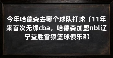 今年哈德森去哪个球队打球（11年来首次无缘cba，哈德森加盟nbl辽宁益胜雪狼篮球俱乐部