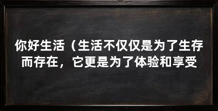 你好生活（生活不仅仅是为了生存而存在，它更是为了体验和享受