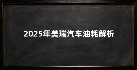 2025年美瑞汽车油耗解析