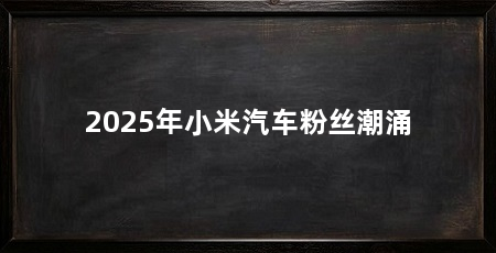 2025年小米汽车粉丝潮涌