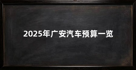 2025年广安汽车预算一览