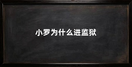 小罗为什么进监狱