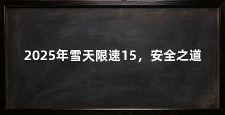 2025年雪天限速15,安全之道