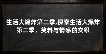 生活大爆炸第二季,探索生活大爆炸第二季，笑料与情感的交织