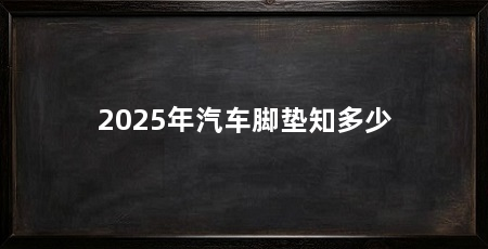 2025年汽车脚垫知多少