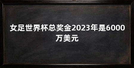 女足世界杯总奖金2023年是6000万美元