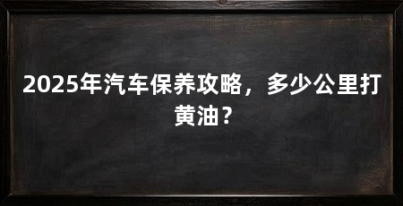 2025年汽车保养攻略，多少公里打黄油？