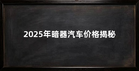 2025年暗器汽车价格揭秘