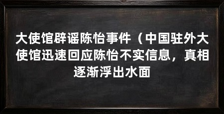 大使馆辟谣陈怡事件(中国驻外大使馆迅速回应陈怡不实信息,真相逐渐浮出水面