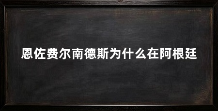 恩佐费尔南德斯为什么在阿根廷