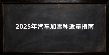 2025年汽车加雪种适量指南