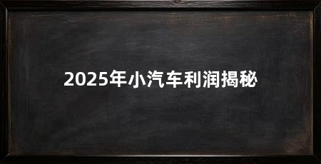 2025年小汽车利润揭秘