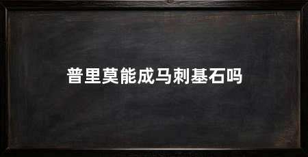 普里莫能成马刺基石吗