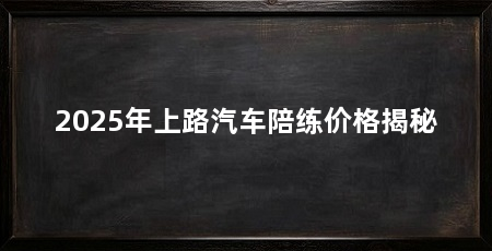 2025年上路汽车陪练价格揭秘