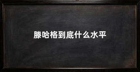 滕哈格到底什么水平