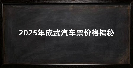 2025年成武汽车票价格揭秘