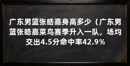 广东男篮张皓嘉身高多少(广东男篮张皓嘉菜鸟赛季升入一队,场均交出4.5分命中率42.9%