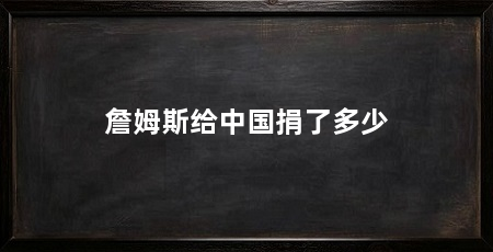 詹姆斯给中国捐了多少