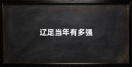 辽足当年有多强