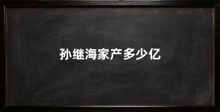 孙继海家产多少亿