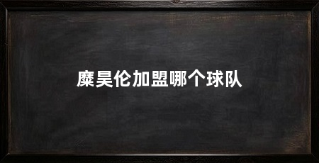 糜昊伦加盟哪个球队