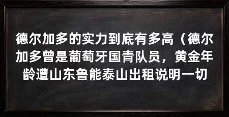 德尔加多的实力到底有多高（德尔加多曾是葡萄牙国青队员，黄金年龄遭山东鲁能泰山出租说明一切