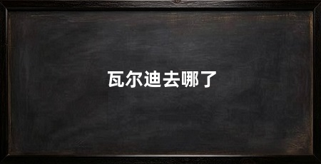 瓦尔迪去哪了