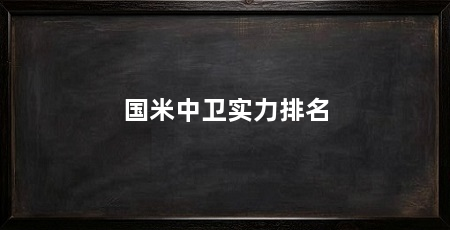 国米中卫实力排名