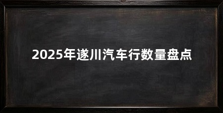 2025年遂川汽车行数量盘点