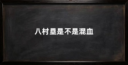 八村塁是不是混血