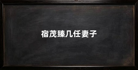 宿茂臻几任妻子