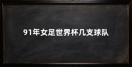 91年女足世界杯几支球队