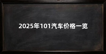 2025年101汽车价格一览