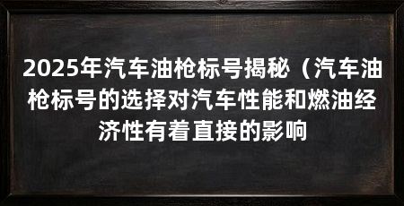2025年汽车油枪标号揭秘(汽车油枪标号的选择对汽车性能和燃油经济性有着直接的影响