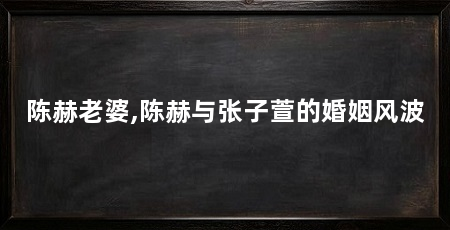 陈赫老婆,陈赫与张子萱的婚姻风波