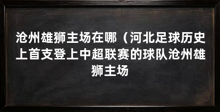 沧州雄狮主场在哪(河北足球历史上首支登上中超联赛的球队沧州雄狮主场