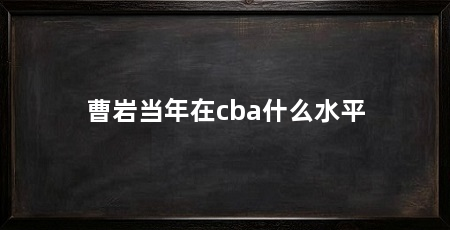 曹岩当年在cba什么水平