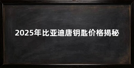 2025年比亚迪唐钥匙价格揭秘
