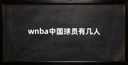 wnba中国球员有几人