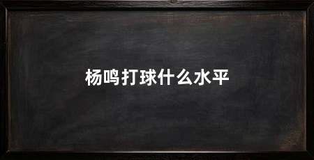 杨鸣打球什么水平