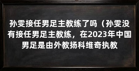 孙雯接任男足主教练了吗（孙雯没有接任男足主教练，在2023年中国男足是由外教扬科维奇执教