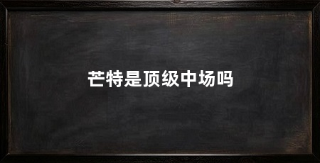 芒特是顶级中场吗