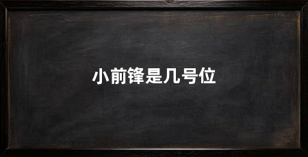 小前锋是几号位