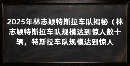2025年林志颖特斯拉车队揭秘(林志颖特斯拉车队规模达到惊人数十辆,特斯拉车队规模达到惊人