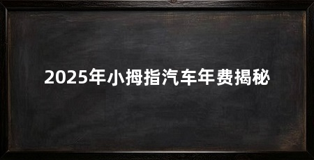 2025年小拇指汽车年费揭秘