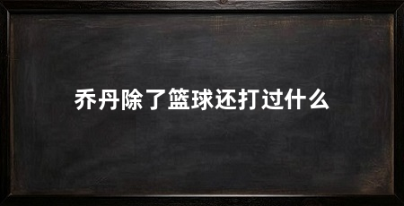 乔丹除了篮球还打过什么