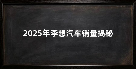 2025年李想汽车销量揭秘