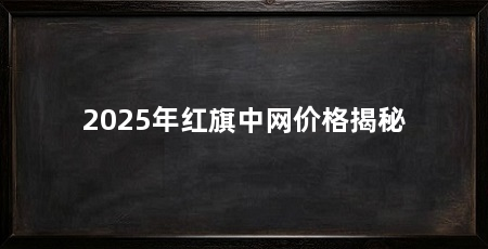 2025年红旗中网价格揭秘